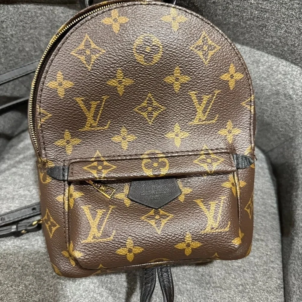 Louis Vuitton Palm Springs mini - Picture 5 of 12